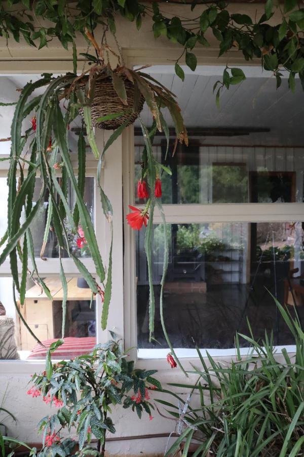 Strawbale Cottage - Wingspread Garden Strath Creek Luaran gambar