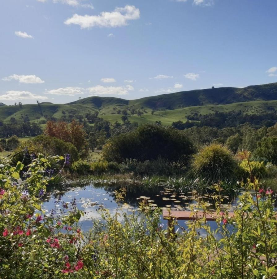 Strawbale Cottage - Wingspread Garden Strath Creek Luaran gambar
