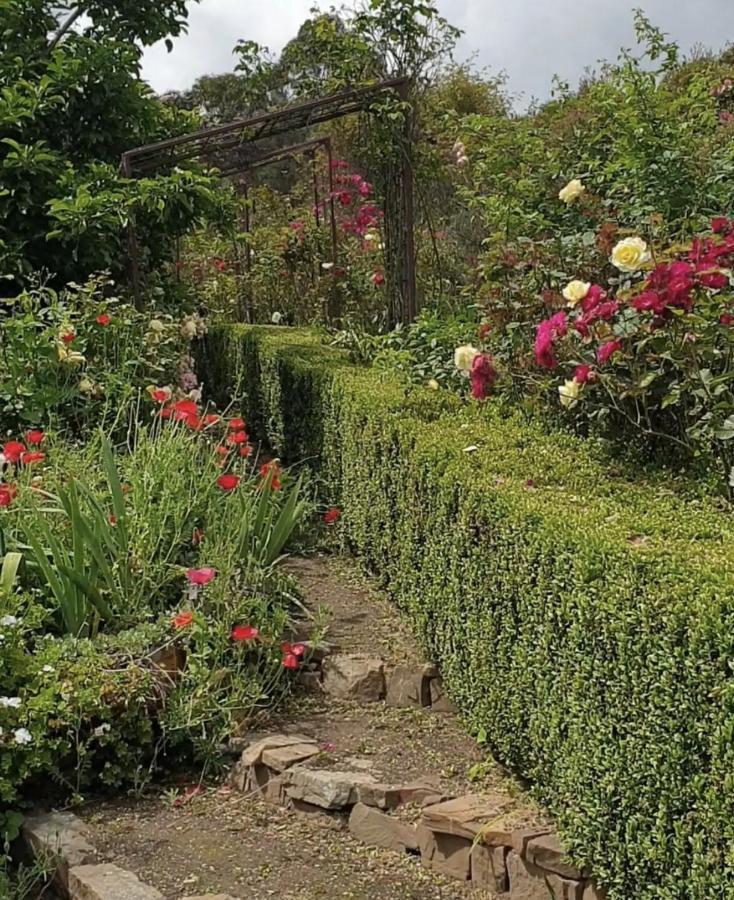 Strawbale Cottage - Wingspread Garden Strath Creek Luaran gambar